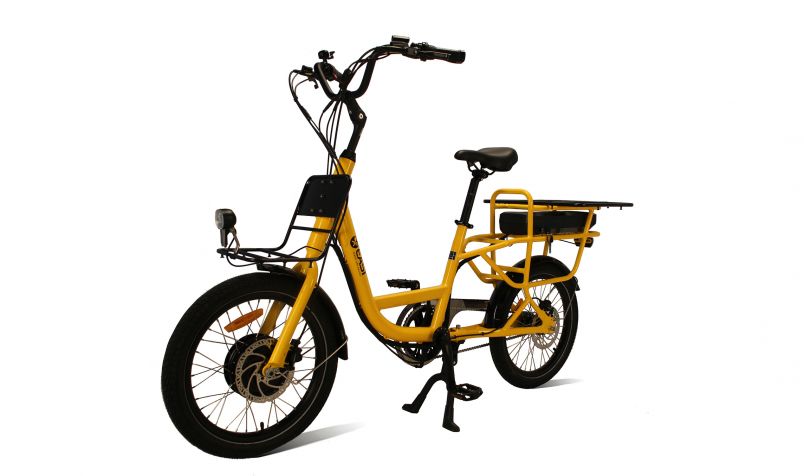 FOOD DELIVERY EBIKES 20''