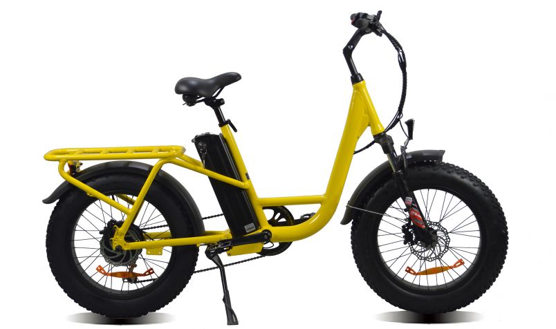 FAT TIRE DELIVERY E-BIKE