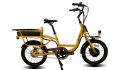 FOOD DELIVERY EBIKES 20''